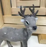 トム
