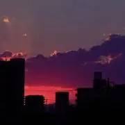 ふぐ漬けの画像