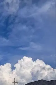 C.Sの画像