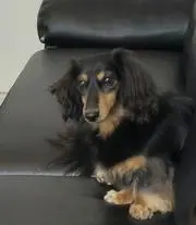 まー
