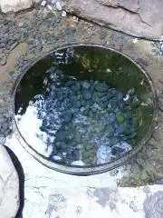 Shizuの画像