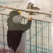 すーへい