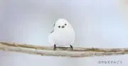 花恋