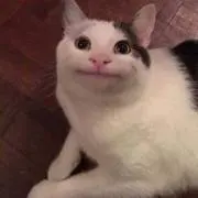 ミる♡の画像