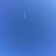 Reoの画像