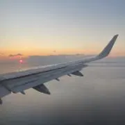 Tの画像