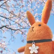 ぴろりろり！