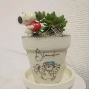 chanmikiの画像