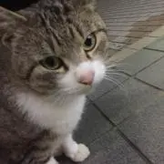 キュー