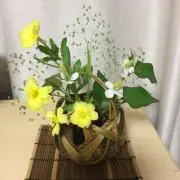 のら※※プロフィール御一読ください※※の画像