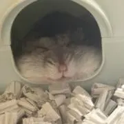 みーちゃん