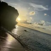 りんりんの画像