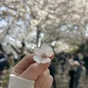 ちゃむの画像