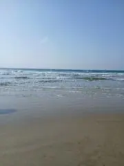 rinkaの画像