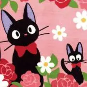 けーこSHOP