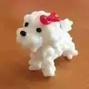 ponokaの画像