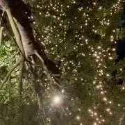 きゃめろ⭐︎即購入大歓迎⭐︎の画像