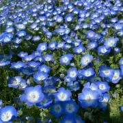 ⭐︎HINA⭐︎の画像