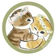 shiaの画像
