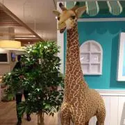 きりんの画像