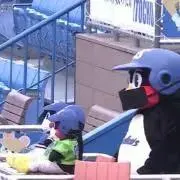 らんまる