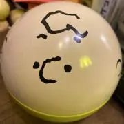 ノリリンの画像