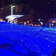 くすりゆびの画像