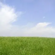 たかみ the 和の画像