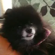 Miyu
