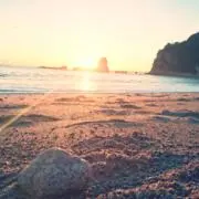 Mahalo☀︎