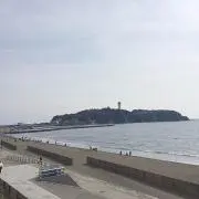 カッシー