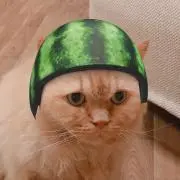プリン