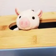 なーんの画像