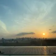 ゆりの画像
