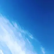 ふーちゃんの画像
