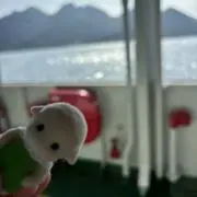 ゆうの画像