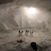morixの画像