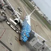 海大好き