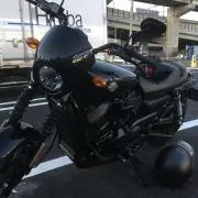 GOGOヨッシー