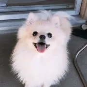 クボ