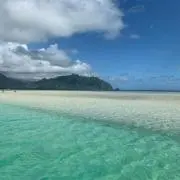鷹