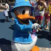 りんた