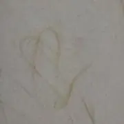 フリースタイルの画像
