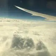 ゲンゴロウ
