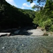 たけの画像
