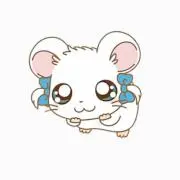 りゅの画像