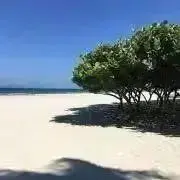 Kの画像