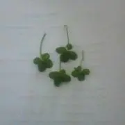 ੭୧の画像