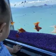 あんころもちの画像