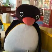 ごんの画像